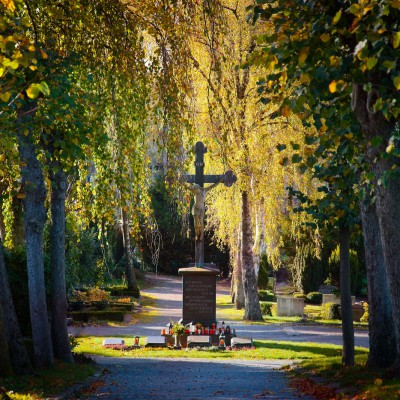 2022-11-01-9A1A1267-Herbst