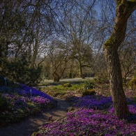 20220302-_A1A5324_5_6_7_8-ON1-Frueling2022