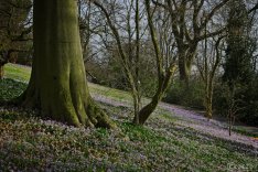 2023-02-22-9A1A5390-Fruehling