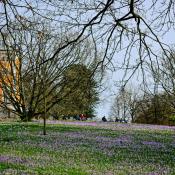 2023-02-22-9A1A5401-Fruehling