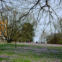 2023-02-22-9A1A5401-Fruehling