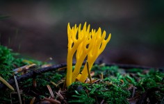 2023-08-13-9A1A9741-Welt-der-Pilze