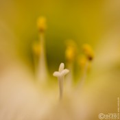 2025-12-30-9A1A5794-Nature-Thursday-2026-01 2025-12-30-9A1A5794-Nature-Thursday-2026-01