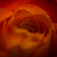 20250108-9A1A2363-Nature-Thursday-11