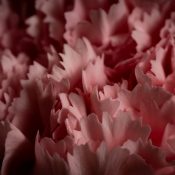 20250219-9A1A2634-Nature-Thursday-9