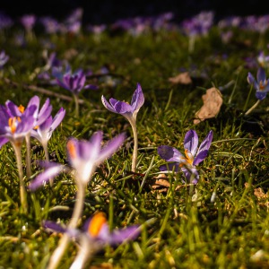 20250305-9A1A2730-NT10