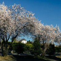 20250329-9A1A3024-Nature-Thursday-17