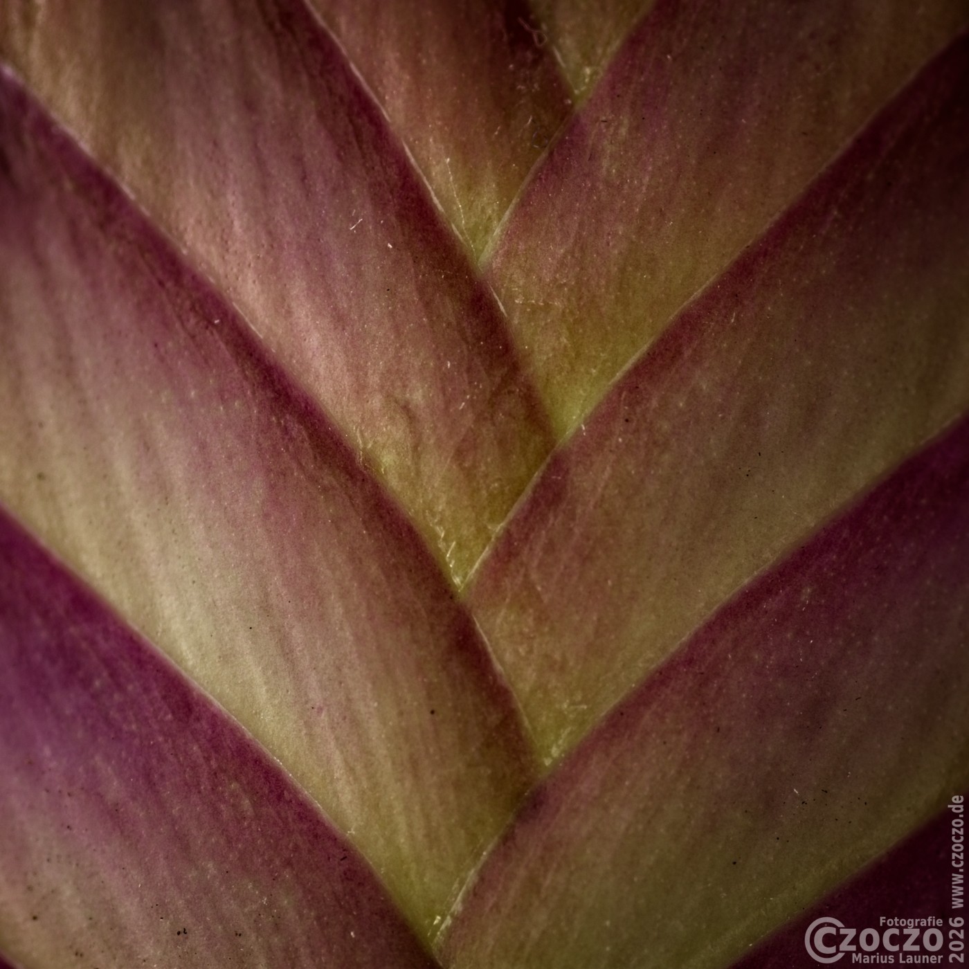 2026-01-24-9A1A6048-Nature-Thursday-05