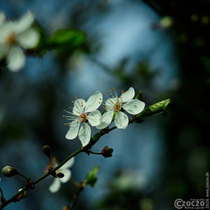 2026-03-06-9A1A6574-Nature-Thursday-12