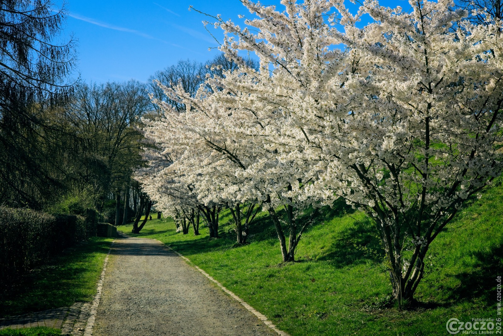 2026-03-18-9A1A6850-Nature-Thursday-12