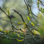 2026-03-23-9A1A6995-2026-Wuppertal-Botanische-Garten