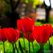 2026-04-08-9A1A7219-2026-Nature-Thursday-15 2026-04-08-9A1A7219-2026-Nature-Thursday-15