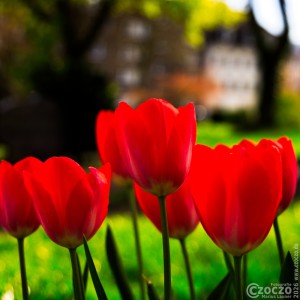 2026-04-08-9A1A7219-2026-Nature-Thursday-15