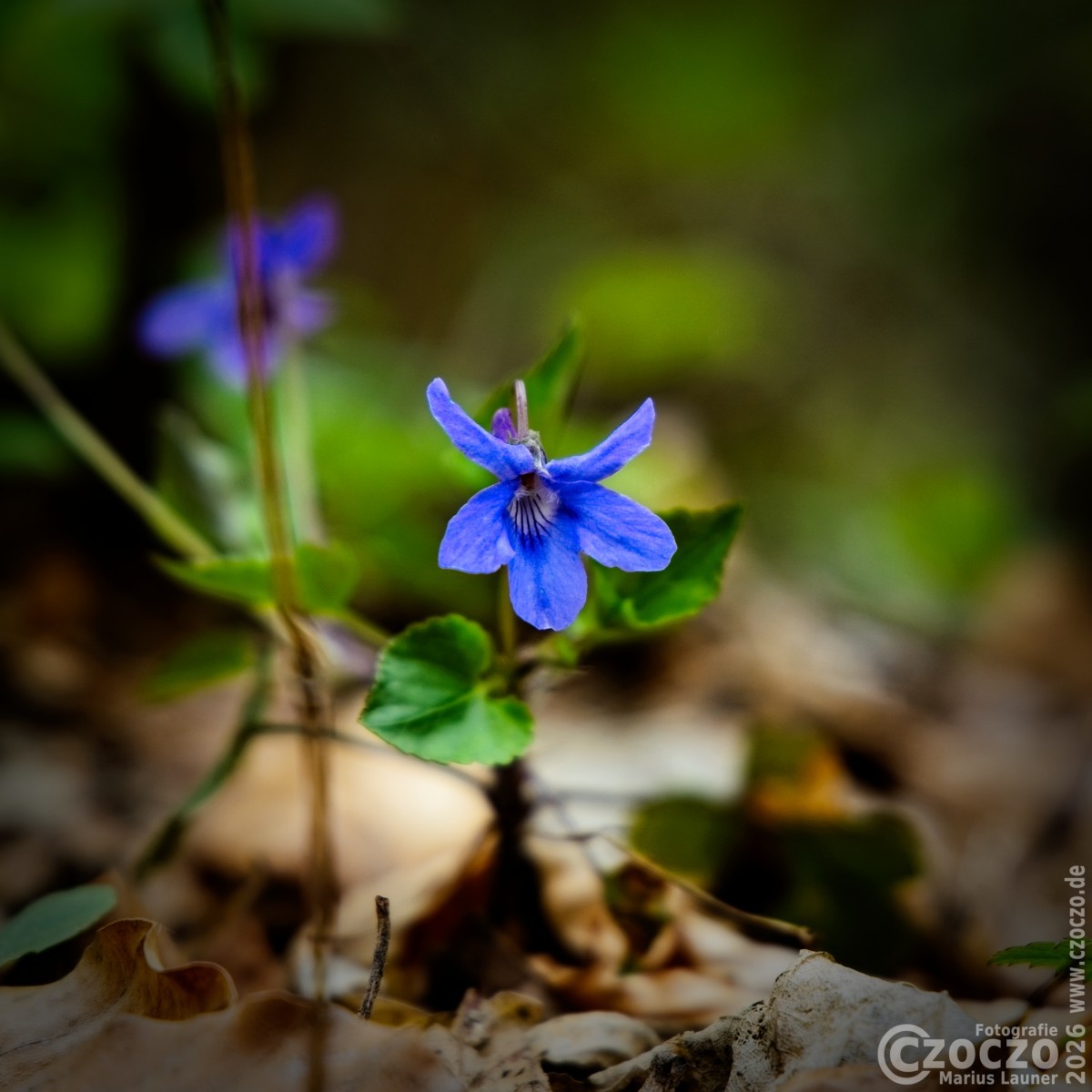 2026-04-14-9A1A7333-Nature Thursday 017