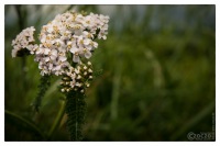 30. Mai 2015 - SIGMA erste Test - 8995