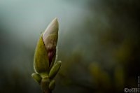 3103-20220314-9A1A5667-ON1-Es-Bluet