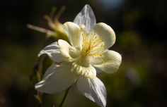 9A1A7685-230518-Im-Wandel-der-Zeit-Mai2023