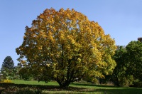 img_3693.jpg