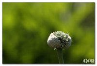img_4766