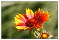 img_5722