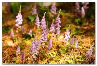 img_5728