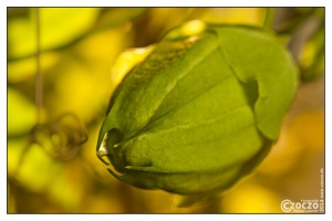 img_6111-bearbeitet-1