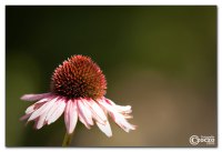 img_6674