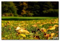 img_7907