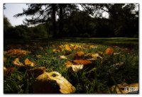 img_7919
