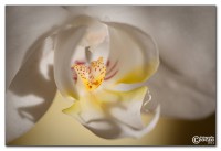 img_8750