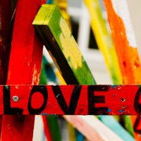 20230723-9A1A9030-Love