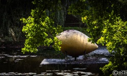 20250821-9A1A4045-Schloss-Moyland-Skulpturenpark
