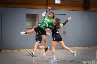 9A1A5507-230225-HSV-WD1-Haaner-TV