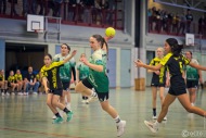 20231209-9A1A3676-HSV-Wald-Merscheid