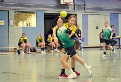 20231209-9A1A3685-HSV-Wald-Merscheid