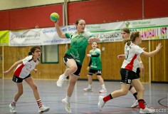 202312169A1A3774-HSV-HSG-Rade