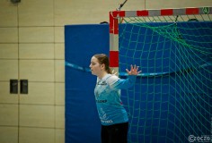 202312169A1A3801-HSV-HSG-Rade