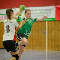 202312169A1A3842-HSV-HSG-Rade