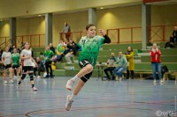 202312169A1A3857-HSV-HSG-Rade