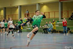 202312169A1A3857-HSV-HSG-Rade