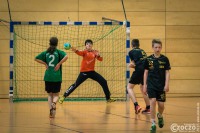 20150425-HSV-LTV-3.jpg
