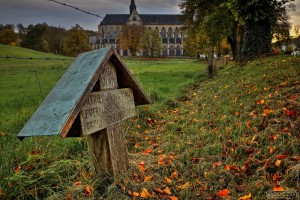 2022-10-31-9A1A1253_4_5_Optimizer-Wielfried-Pawig-1