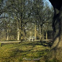 Wiesbaden Park