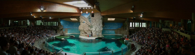 delfinarium.jpg