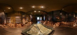 paleontologische-museum-krasiejow.jpg