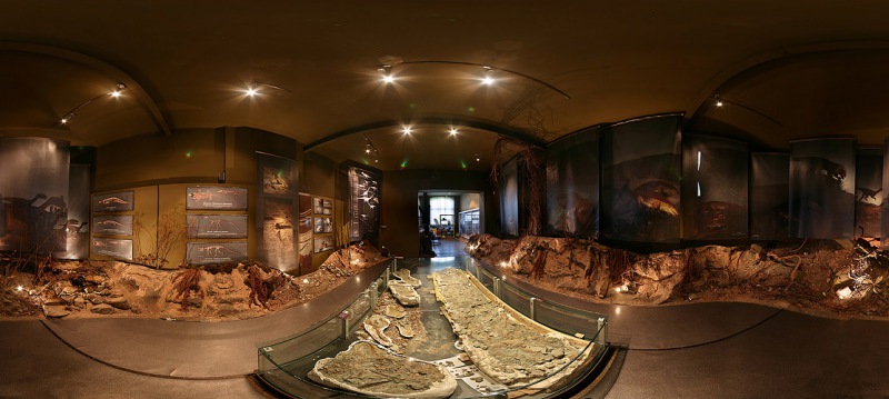 paleontologische-museum-krasiejow.jpg