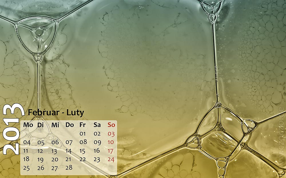 februar-2013
