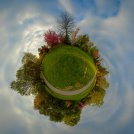 20220424-RombergparkLittle-ON1-Rombergpark-Littl