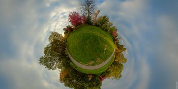 20220424-RombergparkLittle-ON1-Rombergpark-Littl