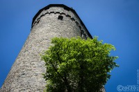 20170525-_MG_3616-Altena